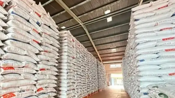 Indonesia Pastikan Tak Impor Beras, Gula, dan Jagung Sepanjang 2026, Stok Nasional Aman
