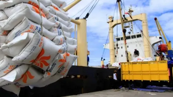 Bulog Siap Ekspor Beras ke Malaysia 2026, Stok Nasional Dipastikan Tetap Aman