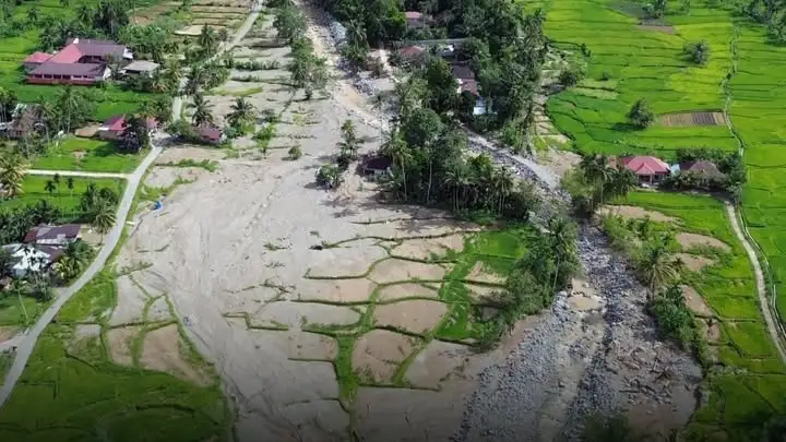 Kementan Siapkan Rp148,5 M untuk Rehabilitasi Sawah Terdampak Bencana