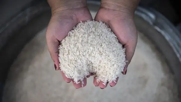 Harga Beras Indonesia 30 Maret 2026 Naik Lagi! Premium Nyaris Rp17.500