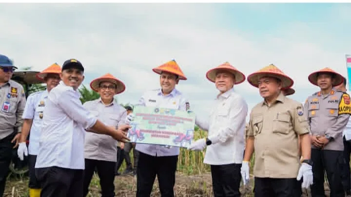 Panen Jagung Merangin, Zulhas Tekankan Swasembada Pangan Desa